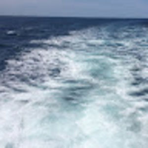 Meet your Posher, Jacob